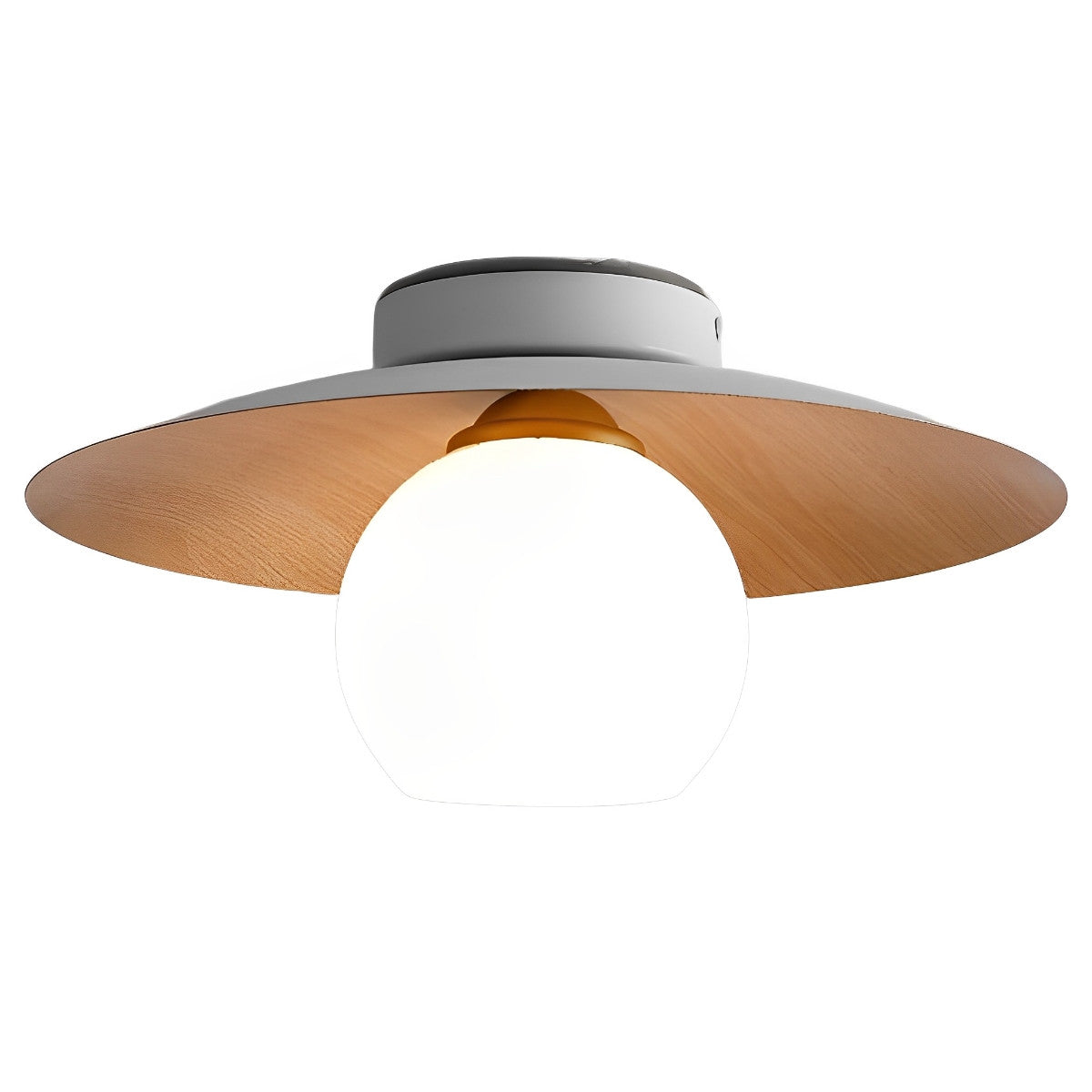 Sleek Bowl Shaped LED Ceiling Light Fixtures