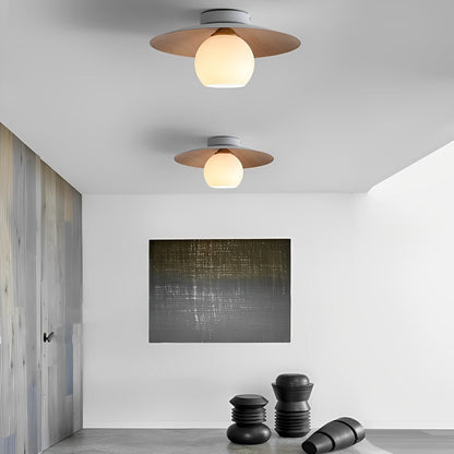 Sleek Bowl Shaped LED Ceiling Light Fixtures - Pexav