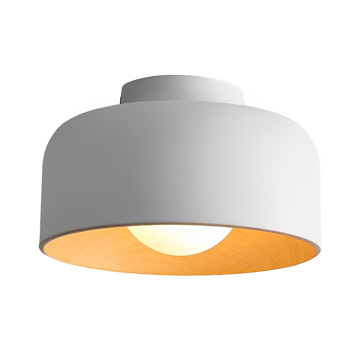 Sleek Bowl Shaped LED Ceiling Light Fixtures