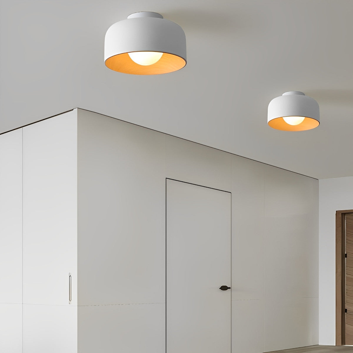 Sleek Bowl Shaped LED Ceiling Light Fixtures