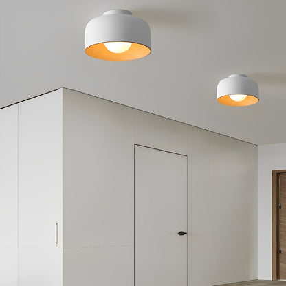 Sleek Bowl Shaped LED Ceiling Light Fixtures
