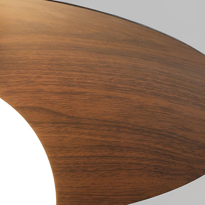 Sleek Bowl Shaped LED Ceiling Light Fixtures
