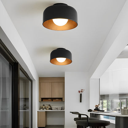 Sleek Bowl Shaped LED Ceiling Light Fixtures
