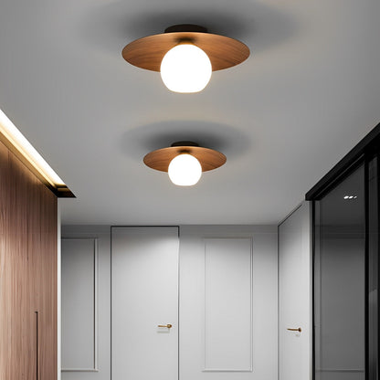 Sleek Bowl Shaped LED Ceiling Light Fixtures