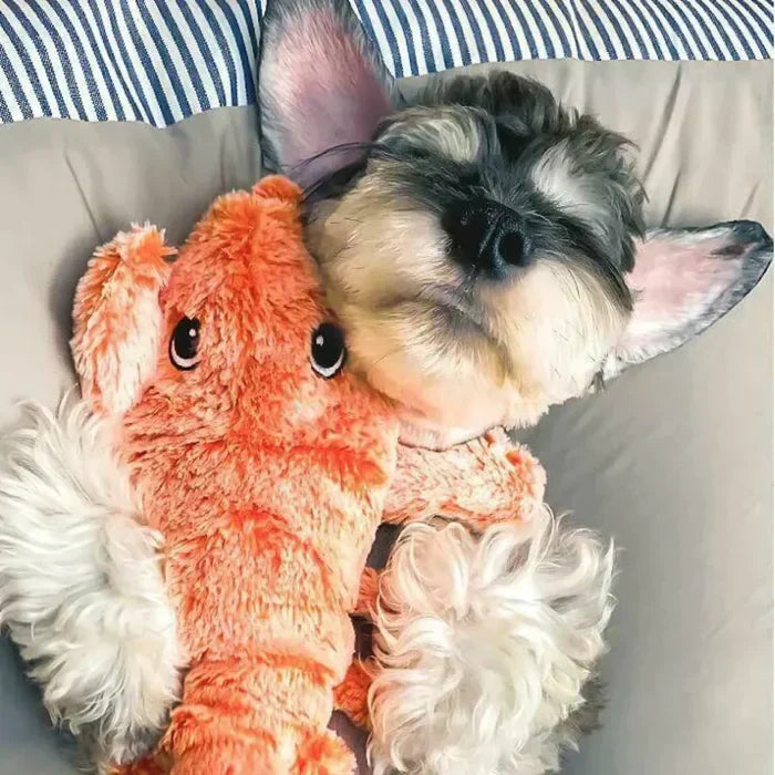 Moving Dog Toy with Motion Sensor - PlayPal-Lobster-Nora Luxe