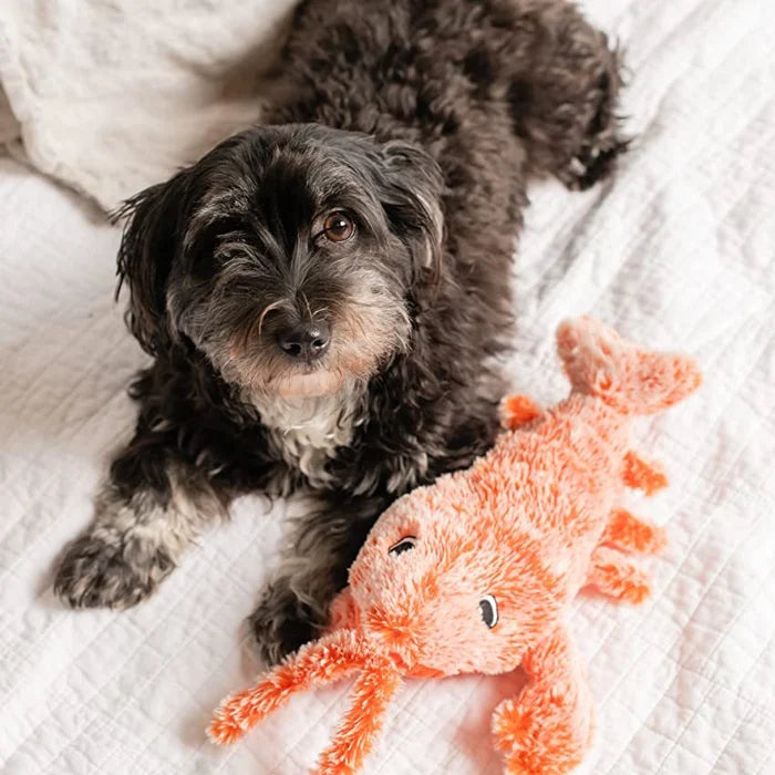 Interactive Pet Toy with Sound and Motion - Pexav