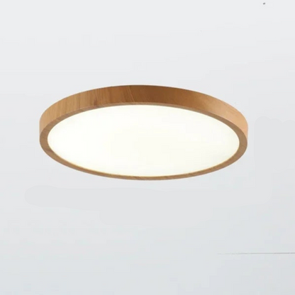 Stylish Round LED Ceiling Lamp Adjustable Brightness