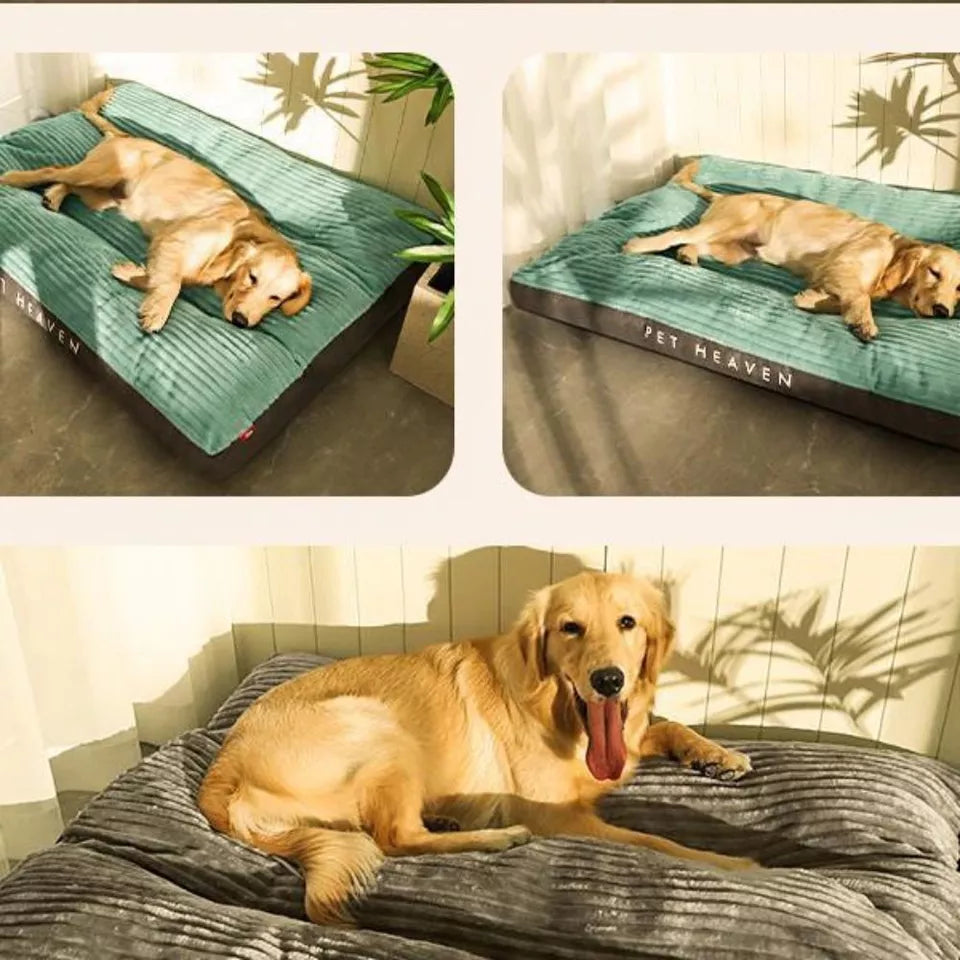 Orthopaedic Dog Bed with Removable Cover - SnuggleRest-Gray-L-Nora Luxe