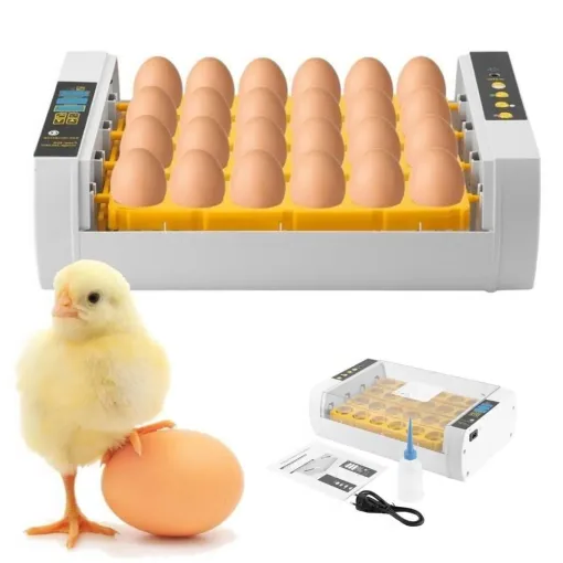 Automatic Digital Chicken Egg Incubator for 24 Eggs