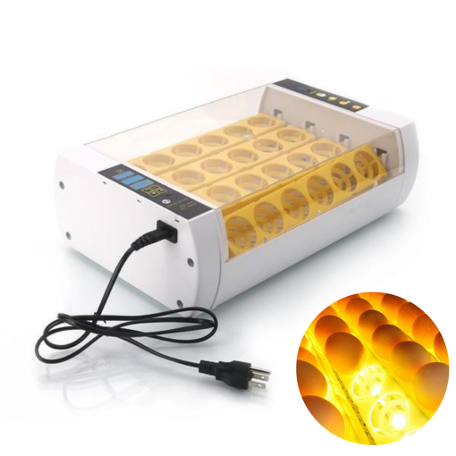 Automatic Digital Chicken Egg Incubator for 24 Eggs - Pexav