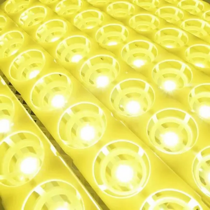 Automatic Digital Chicken Egg Incubator for 24 Eggs