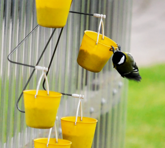 Colorful Garden Bird Feeder - Pexav