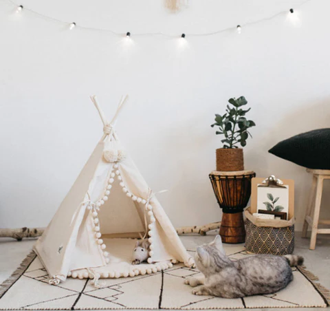 Colorful Pet Play Tent