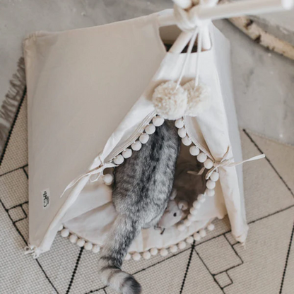 Colorful Pet Play Tent
