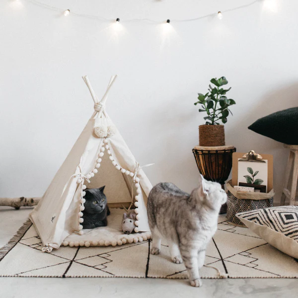 Colorful Pet Play Tent