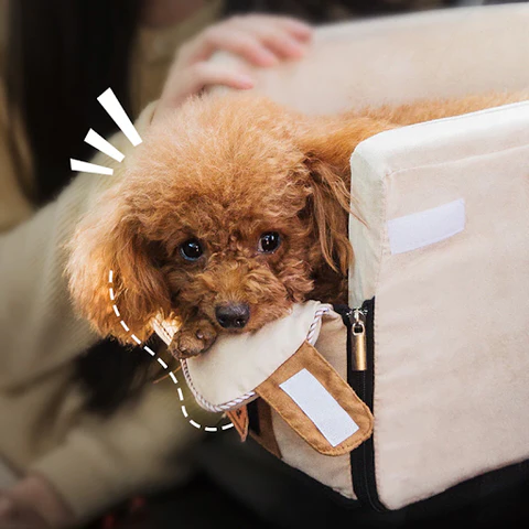 Comfortable Pet Car Booster Seat Travel Bag