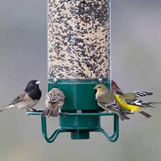 Wild Bird Feeder with Squirrel Deterrent Spinner - Pexav