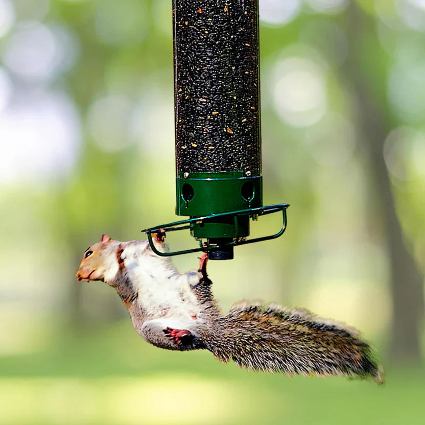Squirrel Proof Bird Feeder with Weight Activated Defence - Pexav