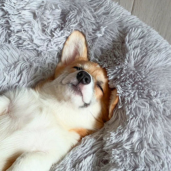 Comfortable Pet Bed