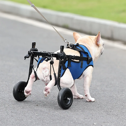 Pet Wheelchair for Injured Dogs Adjustable Support Cart