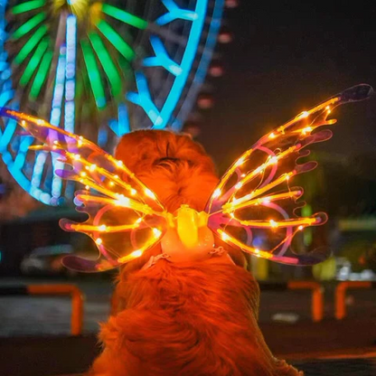 Colorful LED Fairy Wing Costume for Kids