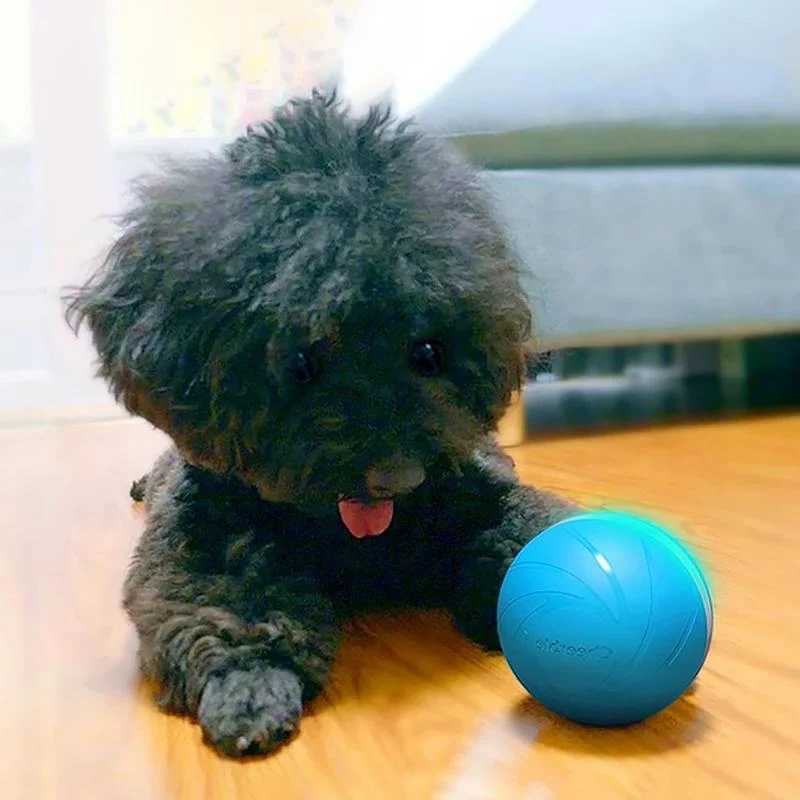 Fun Interactive Pet Ball Toy - Pexav