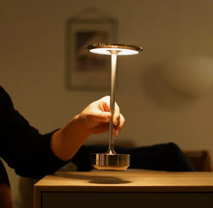 Portable Desk Light Lamp