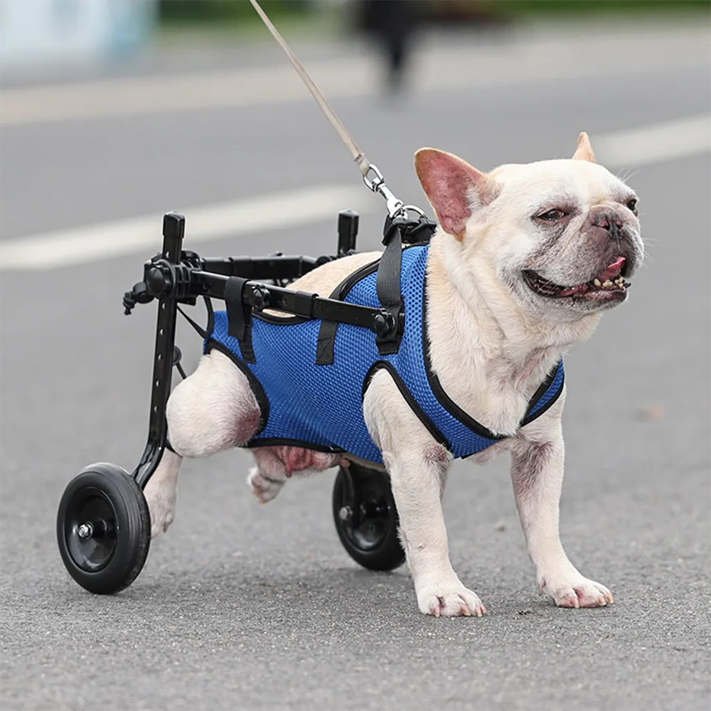 Pet Wheelchair for Injured Dogs Adjustable Support Cart - Pexav