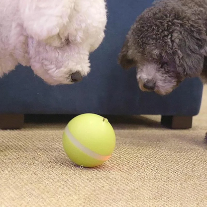 Fun Interactive Pet Ball Toy