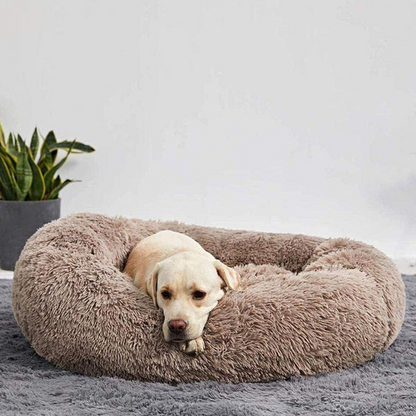 Comfortable Pet Bed
