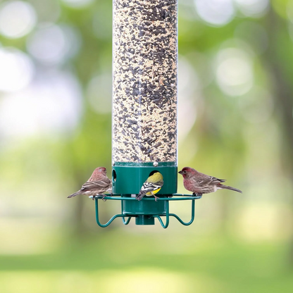 Wildlife Resistant Bird Feeder