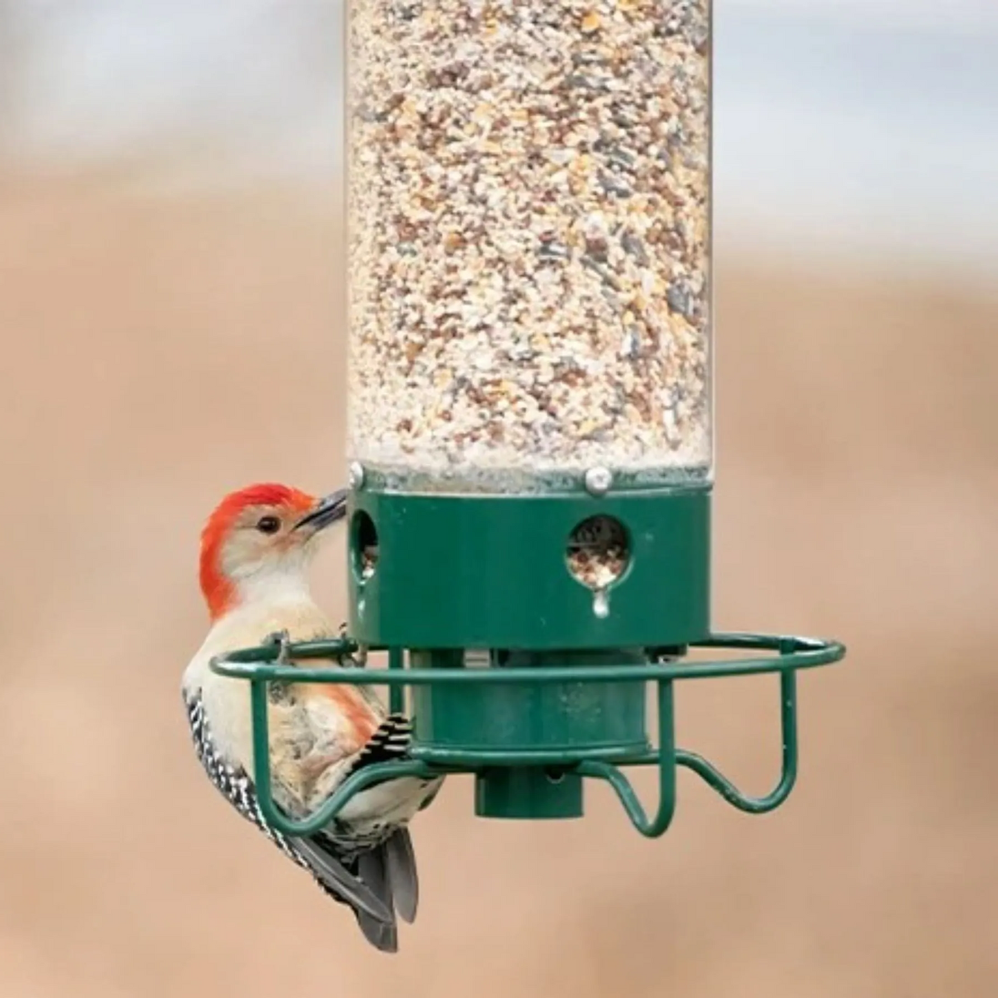 Wild Bird Feeder with Squirrel Deterrent Spinner