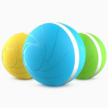 Fun Interactive Pet Ball Toy