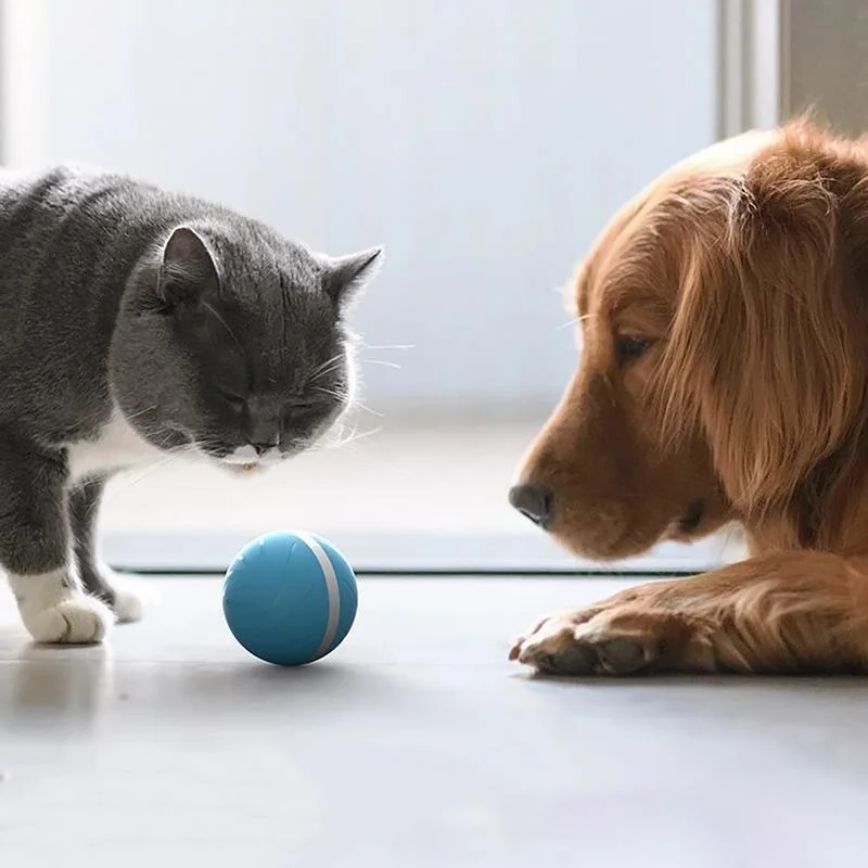 Fun Interactive Pet Ball Toy