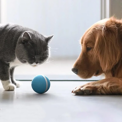Fun Interactive Pet Ball Toy