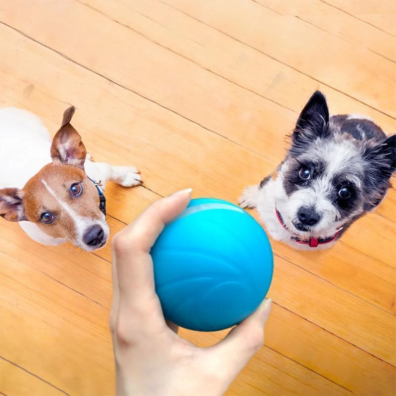 Fun Interactive Pet Ball Toy