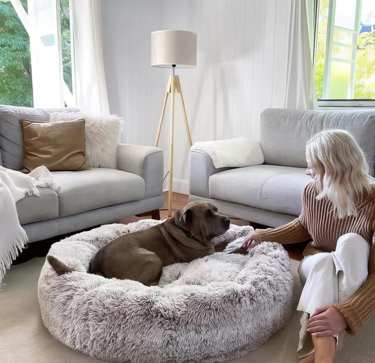 Comfortable Pet Bed