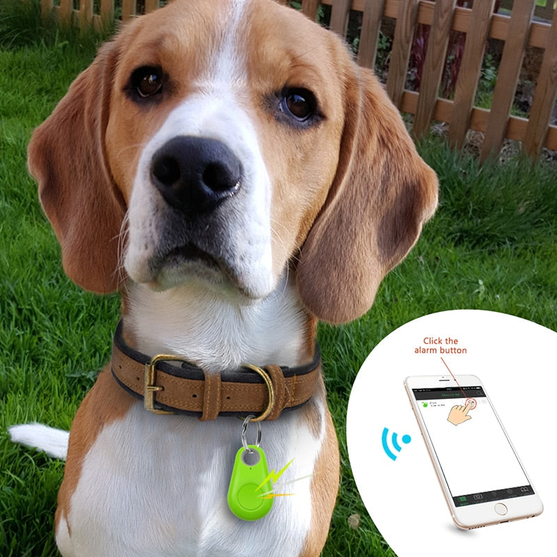 Pet GPS Tag - PawFinder-White-Standard-Nora Luxe
