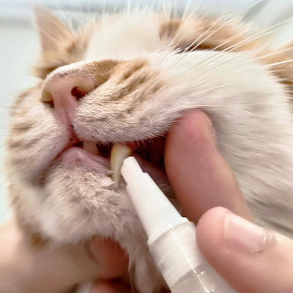 Pet Toothbrush Pen - PetSmile-1 piece-Nora Luxe