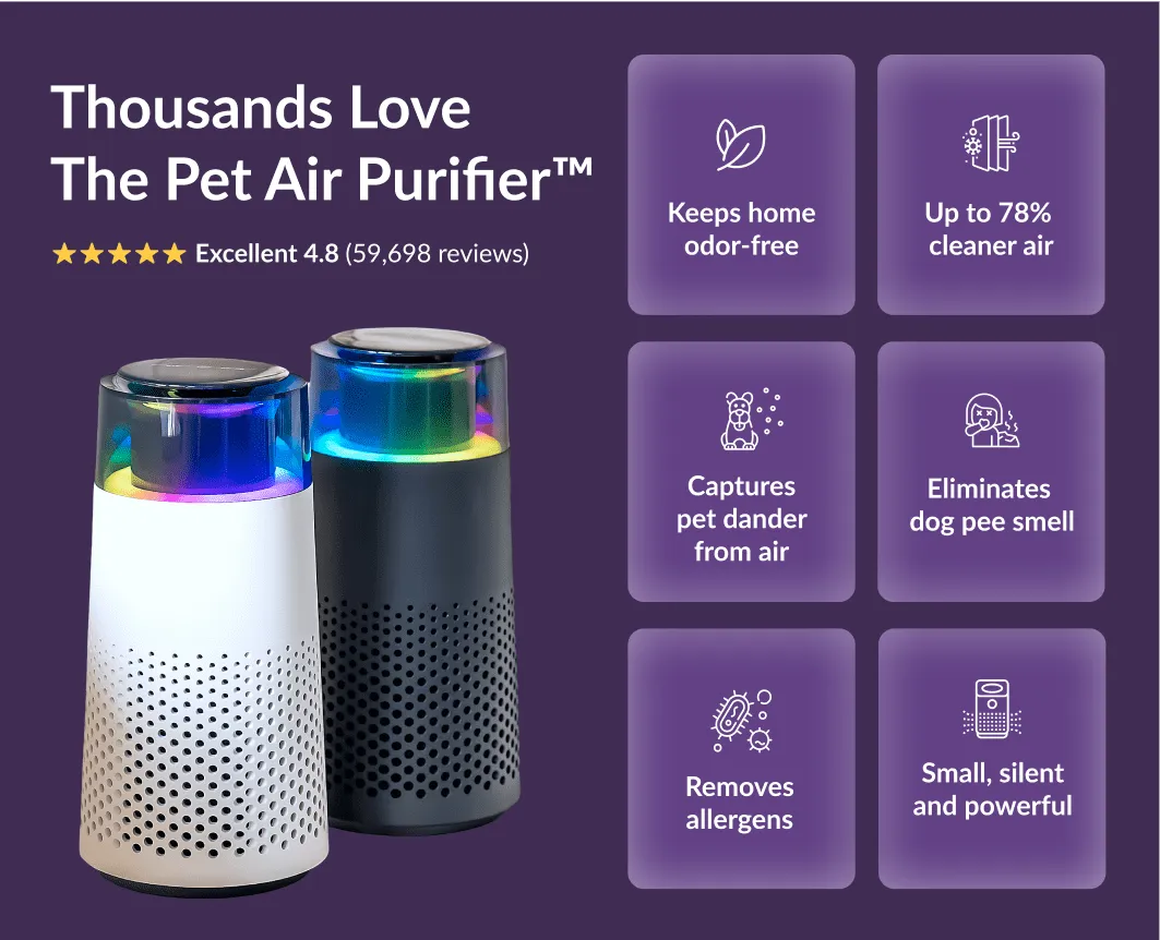 PetFresh Animal Scent Humidifier-Black-Nora Luxe