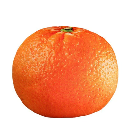 Plush Fruit Cushion - CuddleFruit-Orange-Nora Luxe