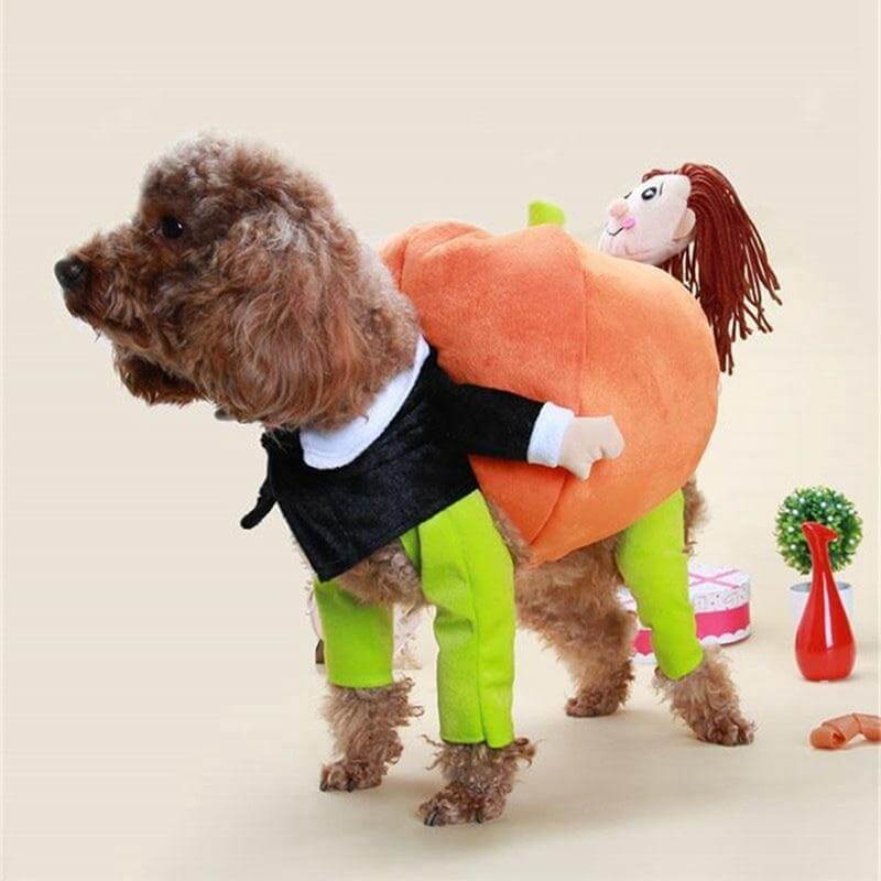 Cute Pet Halloween Costume - Pexav