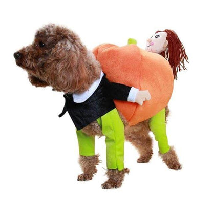 Cute Pet Halloween Costume