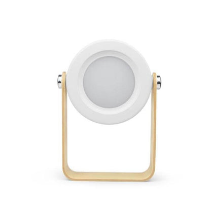 Adjustable Compact LED Desk Lamp