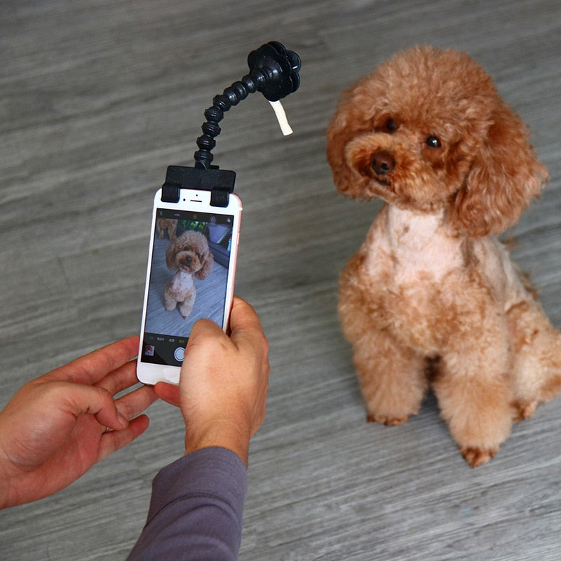 Fun Pet Camera Adjustable Phone Stick - Pexav