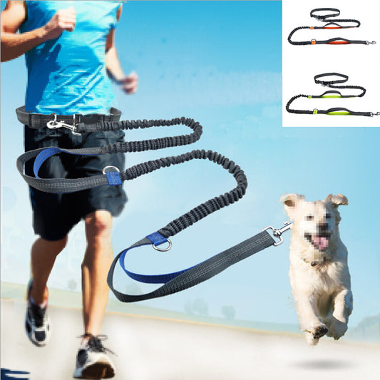 Adjustable Comfort Dog Walking Leash - Pexav