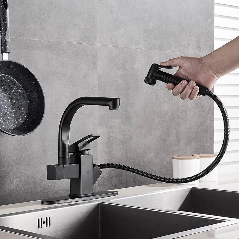 Dual Function 360 Swivel Kitchen Faucet - Pexav