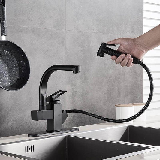 Dual Function 360 Swivel Kitchen Faucet - Pexav