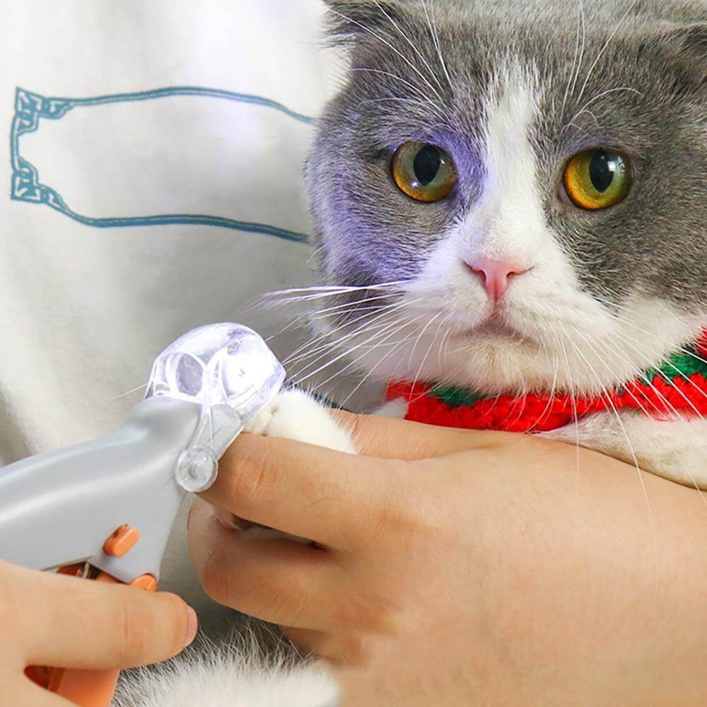 Easy Pet Nail Clipper with LED Light - Pexav