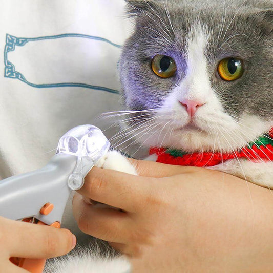 Easy Pet Nail Clipper with LED Light - Pexav